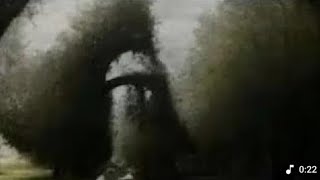 Heeriye Official Video Jasleen Royal Ft Arijitsingh Dulquer Salmaan Aditya Sharma Taanitanvir