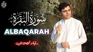 سورة البقرة تلاوة هادئة القارئ أحمد سامح Surah Albaqarah