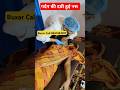 दबी हुई नस #slipdisc #trending #chiroprectic #viral #shorts # #chiropractor