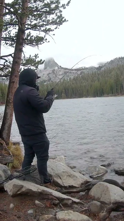 Best Rainbow trout bait of the year | Trout fishing #shorts