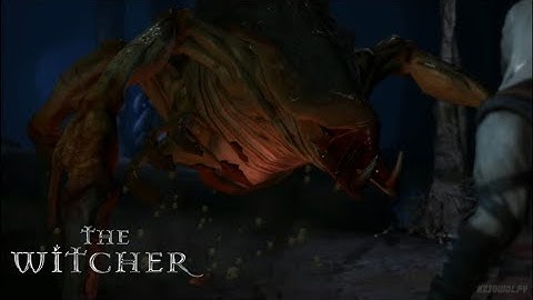 The Witcher - Chapter 3  - The Unforgiven