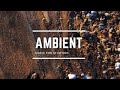 Deep Focus Ambient Study Music 24/7, Deep Focus Music For Studying & Concentration