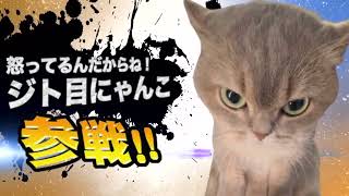 ヤバ過ぎネッコ全員参戦！！part163