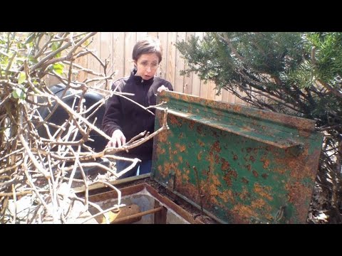 Открыли Ржавый Люк На Заднем Дворе! То Что Нашли Внутри Поразило Всех