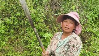 Aphulomi thusho athighiu mula sutsu lu ani ney 😱🌿🌿🪾🌿