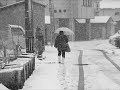 雪津軽 (Nobby)