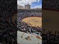 Fallas 2023: Concurso de Recortadores con Jonatan Estébanez 🐂