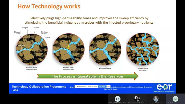 Dr. Michael Pavia - Novel Biological EOR Process f...