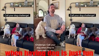 Call Your Dog's Name When They're Right Next To You New Tik Tok Compilation