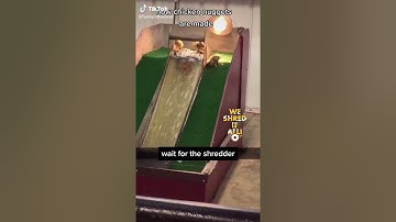 video ngắn gái xinh vui vẻ tạo tiếng cười giảm căng thẳng stress #26