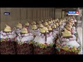 Смотрите в 21:05. Хабаровские пекарни готовятся к празднику Пасхи