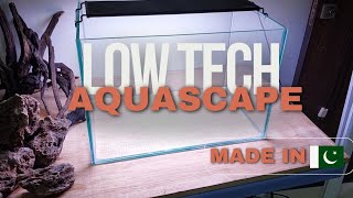 Dirt Planted Tank / Low Tech Aquascape, no aqua soil, easy step by step Tutorial