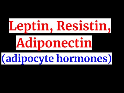 Leptin, Adiponectin ,resistin(-adipocyte hormones)