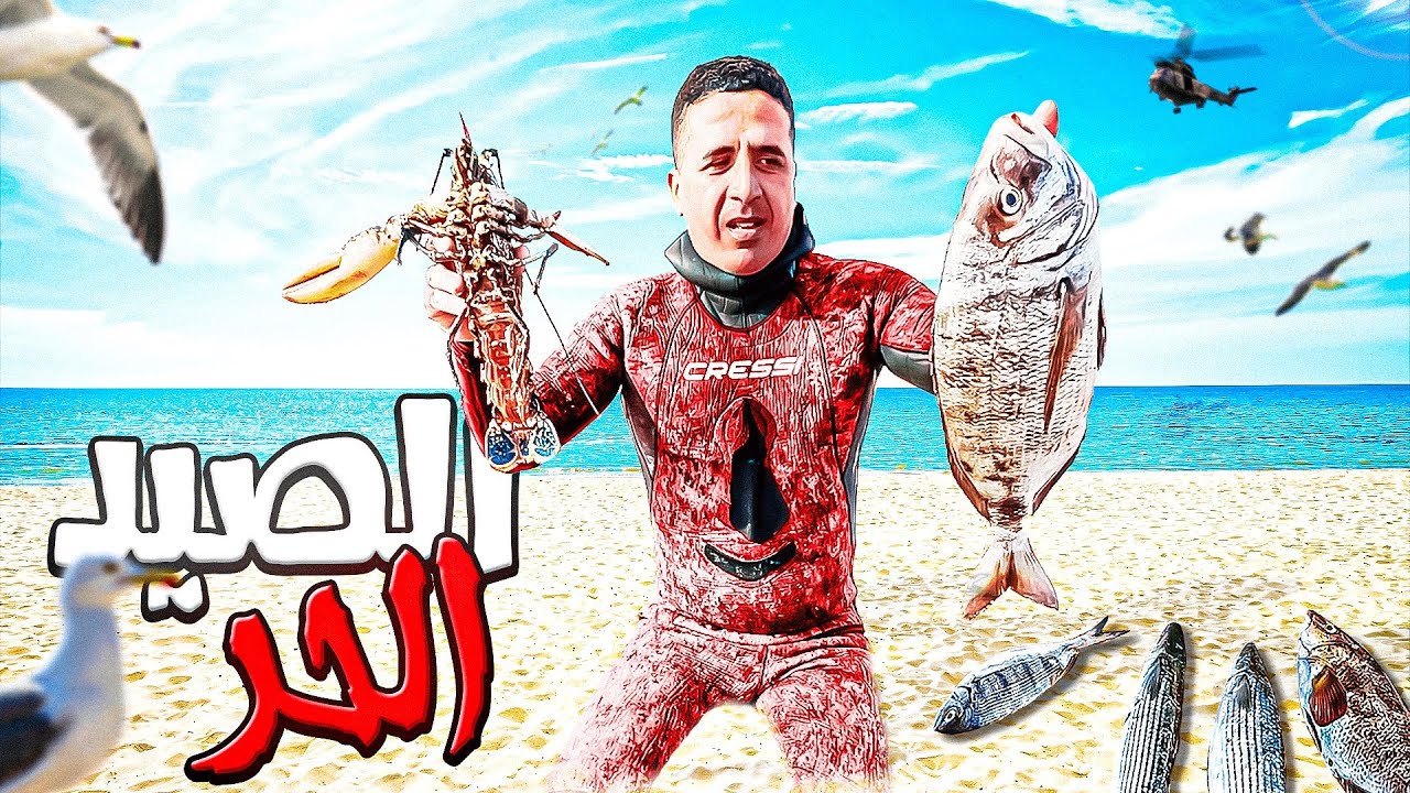 تحدي الغوص : يوم كامل وسط البحر صيد اسماك وانواع مختلفة الغوص في حطام السفن الحربية. مروحية الدرك😱