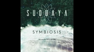 Aleyum & Suduaya - Kelp Forest (Original mix)