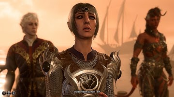 BG3 All Companions React to Lae