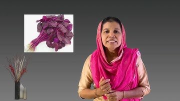 Std 1 Integration Unit 5 Class 20 White Board CP