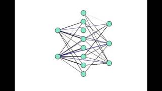 Use Genetic Algorithm to Modify Weights and Connections in Nerual Network