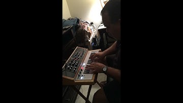 Behringer Model D & Arturia Keystep Wood Enclosure Project