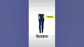 Что нужно для занятия конным спортом? #shorts