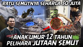 GREBEK SATWA MILIK 'NINO TURTLE KING', PANJI KAGET SEMUT BISA DIPELIHARA..HARGANYA WOW BANGET !!