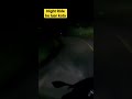 NIGHT RIDE SENDIRIAN KE LUAR KOTA, KABUT TEBAL DI SEPANJANG JALAN