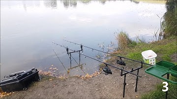 CARP RUN COMPILATION 2020. CARP BITE.