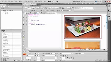 4.5  Basic Attribute Selectors