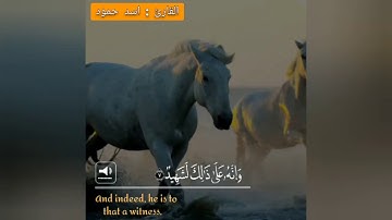 بمقام الصبا زمزم سورة العاديات القرآن الكريم بدون حقوق طبع ونشر