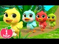 5 Little Rainbow Ducklings | Newborn Baby Songs & Nursery Rhymes