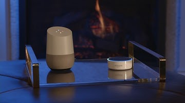 Google Home & Alexa have a conversation and order Food Delivery via FoodMonkey