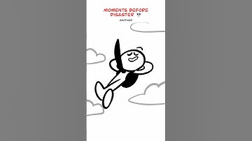 3 People On A Plane 😅 (Animation Meme) Anim: RedFlowerCrown #shorts