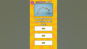 Are you smarter than a 5th grader? | 5th Grade Trivia 1