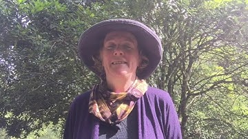 Introduction to Nature Journaling - Part One: Introduction