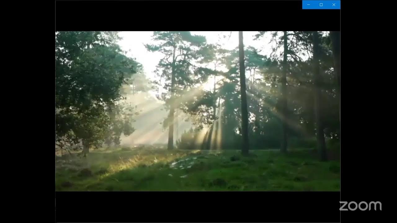 Buddothpado Zoom's Personal Meeting Room