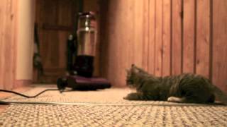 Vacuum Attack