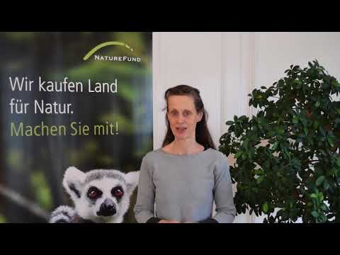 Symbiose und Kommunikation