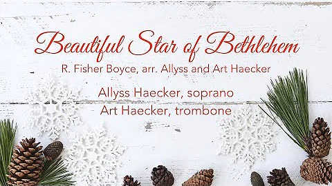 Beautiful Star of Bethlehem