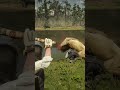X28 Simulate stunning survival skills #shorts