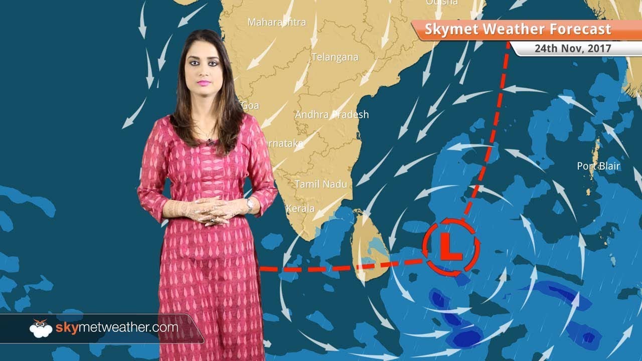 Weather Forecast for Nov 24: Cold wave in Punjab, Haryana, Rajasthan, UP, low pressure in Bay