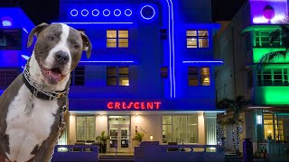 South Beach, Miami Spring Break 2021 Walking Ocean Drive Gopro Hero9 Black Dogpov