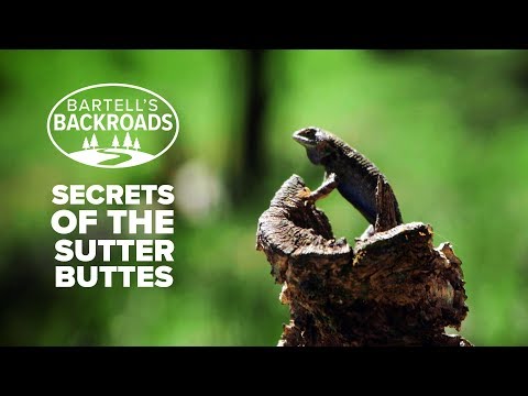 The Sutter Buttes,