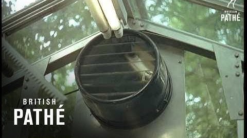 Robot Gardening (1959)