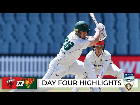 Jewell shines in tigers' successful chase | sheffield shield 2022-23