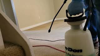 VLM Carpet Cleaning, from start to finish