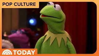 Seth Rogens muppet Show Gets Perfect Rotten Tomatoes Score