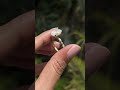 Elegant Oval Lab Grown Diamond Ring | Timeless Engagement Ring Design