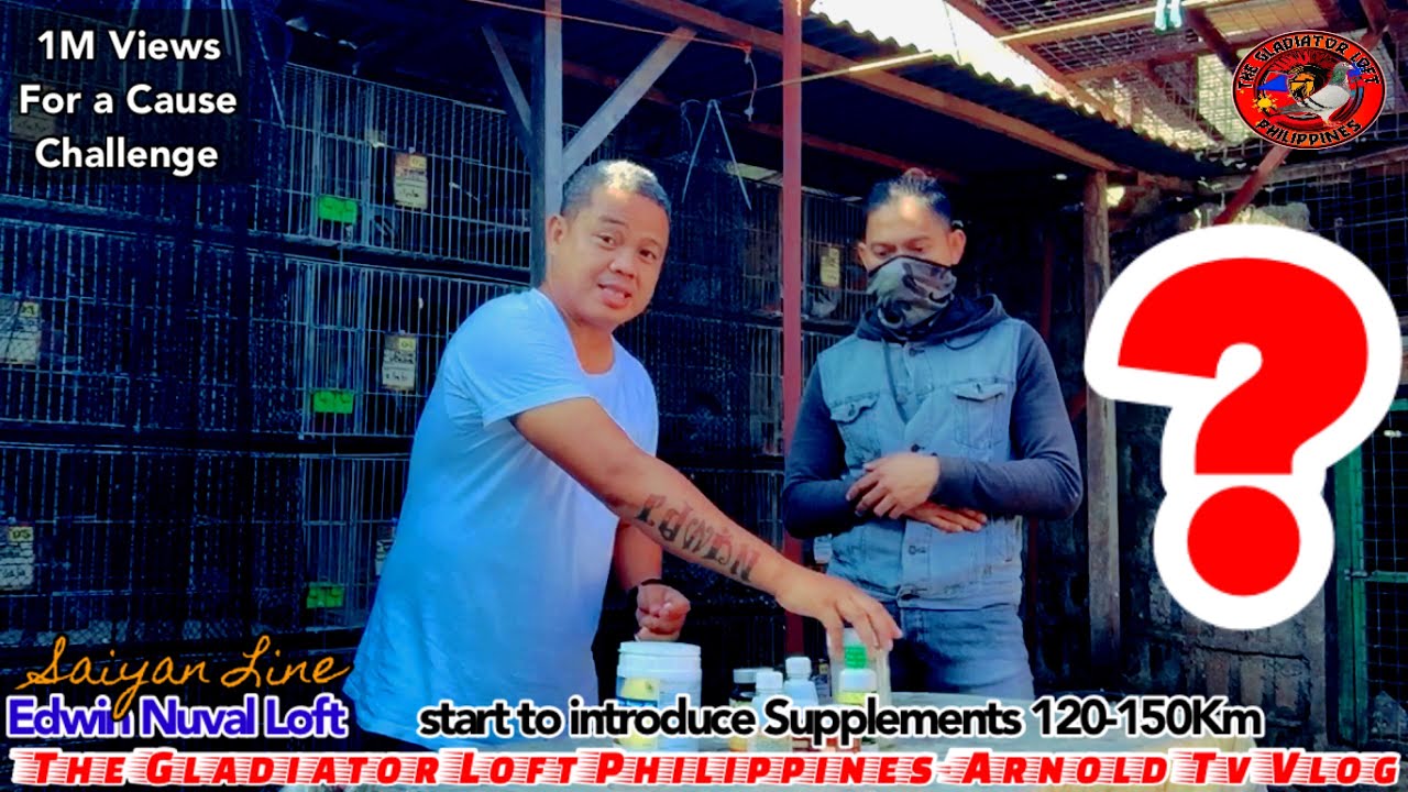 Super Saiyan Conditioning and Supplements by Sir Edwin Nuval!! Complete Program. During Derby Race!