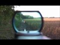 RUGER 10 22 Carbine Reflex Sight red dot POV