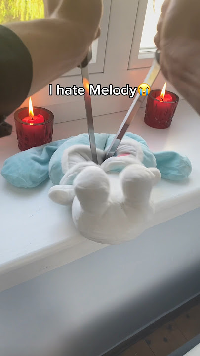 What happened to Melody🤔😭 #cinnamoroll #hellokitty #cute